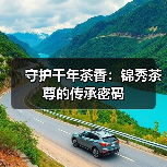 守护千年茶香：锦秀茶尊的传承密码（图4）
