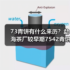 73青饼有什么来历?勐海茶厂较早期7542青饼代表(图3) 73青饼有什么来历?勐海茶厂较早期7542青饼代表(图3)