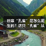 班章“孔雀”是怎么诞生的？这只“孔雀”从哪里来？（图1）