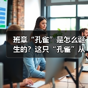 班章“孔雀”是怎么诞生的？这只“孔雀”从哪里来？（图2）