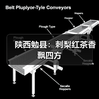 陕西勉县：刺梨红茶香飘四方（图4）