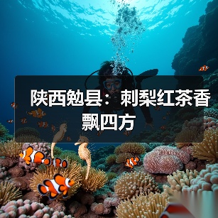 陕西勉县：刺梨红茶香飘四方（图3）