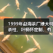 1999年勐海茶厂绿大树茶柱,叶柄怀定制,有品质的大厂普洱茶(图4) 1999年勐海茶厂绿大树茶柱,叶柄怀定制,有品质的大厂普洱茶(图4)