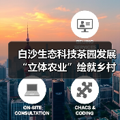 白沙生态科技茶园发展“立体农业”绘就乡村振兴画卷(图1) 白沙生态科技茶园发展“立体农业”绘就乡村振兴画卷(图1)