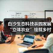 白沙生态科技茶园发展“立体农业”绘就乡村振兴画卷(图3) 白沙生态科技茶园发展“立体农业”绘就乡村振兴画卷(图3)