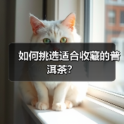 如何挑选适合收藏的普洱茶?(图2) 如何挑选适合收藏的普洱茶?(图2)