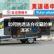 如何挑选适合收藏的普洱茶?(图3) 如何挑选适合收藏的普洱茶?(图3)