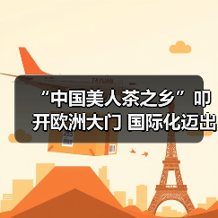 “中国美人茶之乡”叩开欧洲大门 国际化迈出关键一步(图1) “中国美人茶之乡”叩开欧洲大门 国际化迈出关键一步(图1)