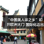 “中国美人茶之乡”叩开欧洲大门 国际化迈出关键一步(图2) “中国美人茶之乡”叩开欧洲大门 国际化迈出关键一步(图2)
