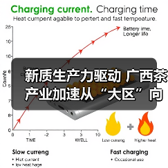 新质生产力驱动 广西茶产业加速从“大区”向“强区”跨越(图3) 新质生产力驱动 广西茶产业加速从“大区”向“强区”跨越(图3)
