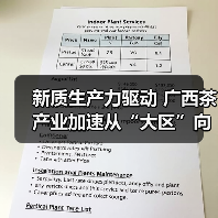新质生产力驱动 广西茶产业加速从“大区”向“强区”跨越(图4) 新质生产力驱动 广西茶产业加速从“大区”向“强区”跨越(图4)