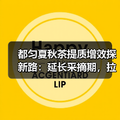 都匀夏秋茶提质增效探新路:延长采摘期,拉长产业链(图1) 都匀夏秋茶提质增效探新路:延长采摘期,拉长产业链(图1)
