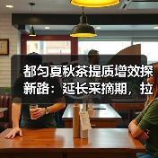 都匀夏秋茶提质增效探新路:延长采摘期,拉长产业链(图4) 都匀夏秋茶提质增效探新路:延长采摘期,拉长产业链(图4)