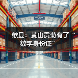 歙县:黄山贡菊有了“数字身份证”(图3) 歙县:黄山贡菊有了“数字身份证”(图3)