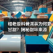 粗老原料普洱茶为何更甘甜?揭秘甜味来源(图1) 粗老原料普洱茶为何更甘甜?揭秘甜味来源(图1)