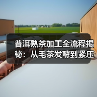普洱熟茶加工全流程揭秘:从毛茶发酵到紧压成型的关键步骤(图4) 普洱熟茶加工全流程揭秘:从毛茶发酵到紧压成型的关键步骤(图4)