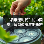 “后申遗时代”的中国茶:解锁传承与创新密码(图4) “后申遗时代”的中国茶:解锁传承与创新密码(图4)