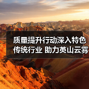 质量提升行动深入特色传统行业 助力英山云雾茶产业转型发展(图3) 质量提升行动深入特色传统行业 助力英山云雾茶产业转型发展(图3)
