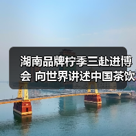 湖南品牌柠季三赴进博会 向世界讲述中国茶饮出海故事(图3) 湖南品牌柠季三赴进博会 向世界讲述中国茶饮出海故事(图3)
