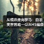 从福鼎走向罗马:白茶类世界唯一GIAHS福鼎白茶香飘国际(图1) 从福鼎走向罗马:白茶类世界唯一GIAHS福鼎白茶香飘国际(图1)