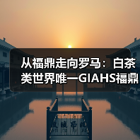 从福鼎走向罗马:白茶类世界唯一GIAHS福鼎白茶香飘国际(图2) 从福鼎走向罗马:白茶类世界唯一GIAHS福鼎白茶香飘国际(图2)