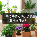 茶位费将立法,会给茶业带来什么?(图2) 茶位费将立法,会给茶业带来什么?(图2)