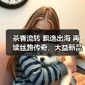 茶香流转 飘逸出海 再续丝路传奇,大益新品上新!(图3) 茶香流转 飘逸出海 再续丝路传奇,大益新品上新!(图3)