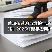 普洱茶选购与维护全攻略！2025年新手实用指南（图3）