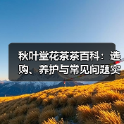 秋叶堂花茶茶百科:选购、养护与常见问题实用指南(图2) 秋叶堂花茶茶百科:选购、养护与常见问题实用指南(图2)