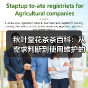 秋叶堂花茶茶百科:从需求判断到使用维护的全攻略(图2) 秋叶堂花茶茶百科:从需求判断到使用维护的全攻略(图2)