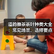 道韵雅茶茶叶种类大全:常见场景、选择要点与注意事项 道韵雅茶茶叶种类大全:常见场景、选择要点与注意事项