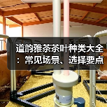 道韵雅茶茶叶种类大全:常见场景、选择要点与注意事项(图1) 道韵雅茶茶叶种类大全:常见场景、选择要点与注意事项(图1)