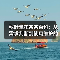 秋叶堂花茶茶百科:从需求判断到使用维护的全攻略(图3) 秋叶堂花茶茶百科:从需求判断到使用维护的全攻略(图3)
