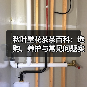 秋叶堂花茶茶百科:选购、养护与常见问题实用指南(图3) 秋叶堂花茶茶百科:选购、养护与常见问题实用指南(图3)