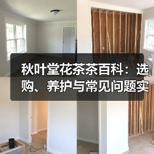 秋叶堂花茶茶百科:选购、养护与常见问题实用指南 秋叶堂花茶茶百科:选购、养护与常见问题实用指南