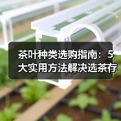 茶叶种类选购指南:5大实用方法解决选茶存茶烦恼 茶叶种类选购指南:5大实用方法解决选茶存茶烦恼