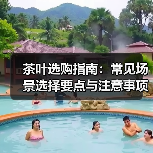 茶叶选购指南:常见场景选择要点与注意事项(图3) 茶叶选购指南:常见场景选择要点与注意事项(图3)