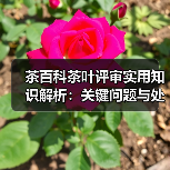 茶百科茶叶评审实用知识解析:关键问题与处理方法(图3) 茶百科茶叶评审实用知识解析:关键问题与处理方法(图3)