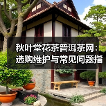 秋叶堂花茶普洱茶网：选购维护与常见问题指南（图1）